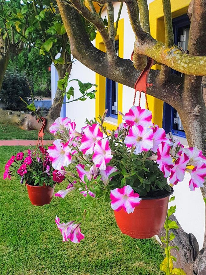 Sondela Self Catering Villa Sao Martinho do Porto Exterior photo