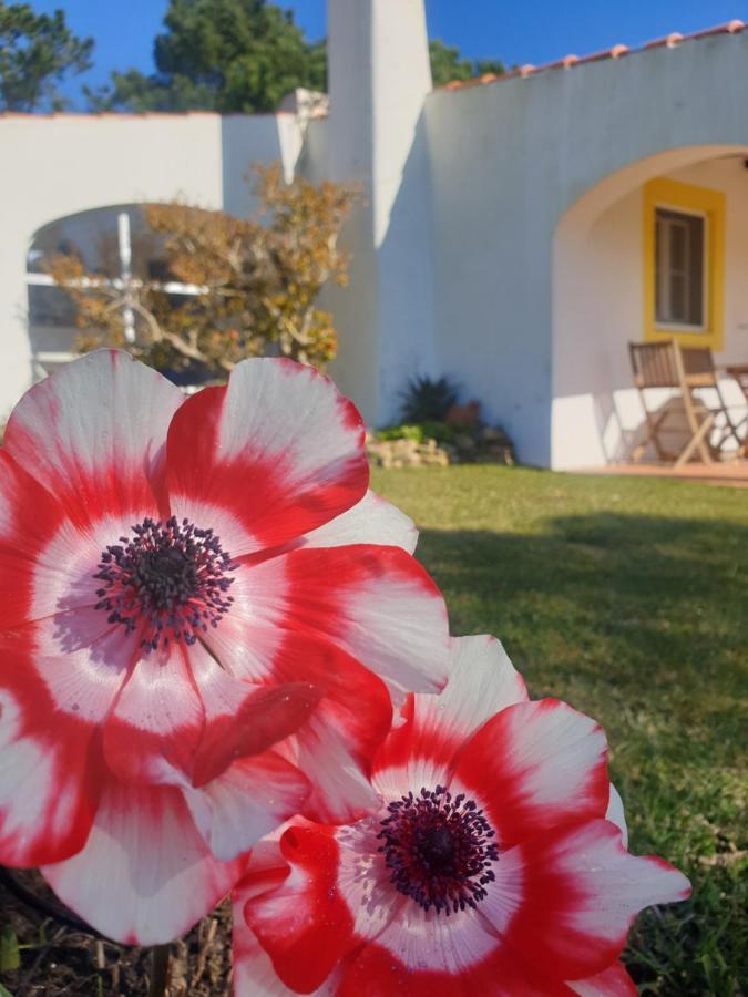 Sondela Self Catering Villa Sao Martinho do Porto Exterior photo